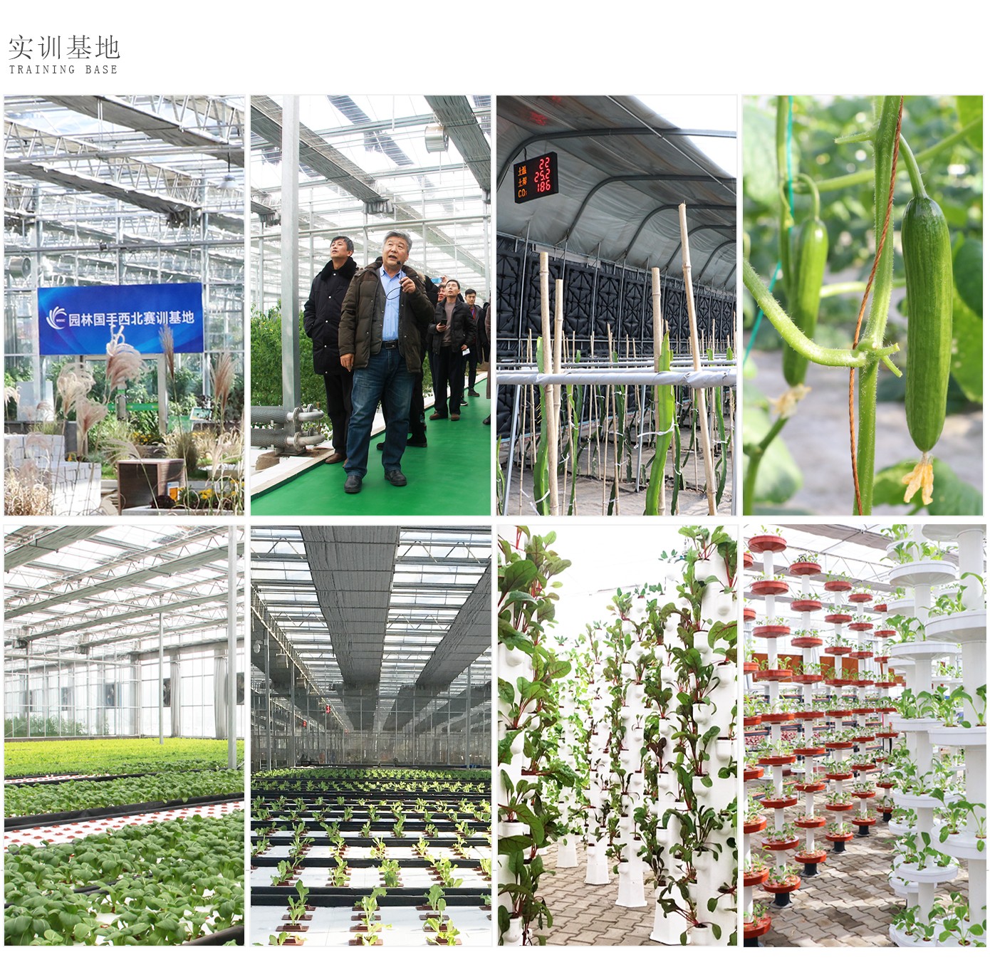 人才培養(yǎng)1920實(shí)驗(yàn)2_13.jpg 人才培養(yǎng)1920實(shí)驗(yàn)2_13.jpg