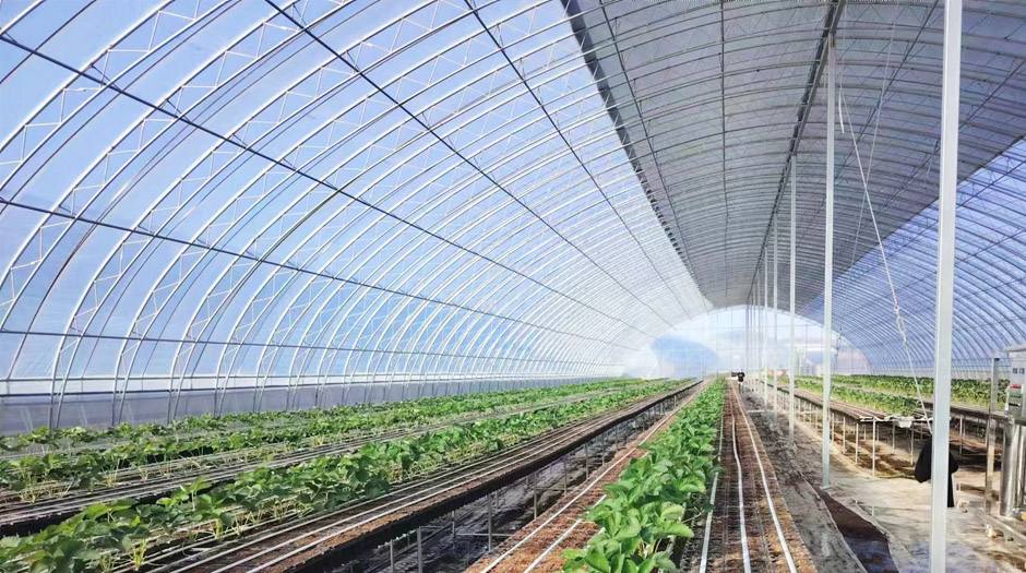 石拐網(wǎng)站5圖940.jpg 石拐網(wǎng)站5圖940.jpg