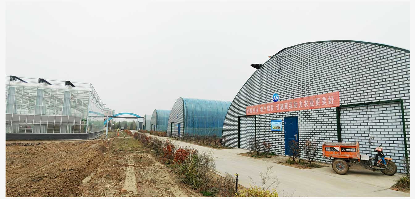 準格爾旗現(xiàn)代智慧設施農(nóng)業(yè)產(chǎn)業(yè)園(網(wǎng)頁)_28.jpg 準格爾旗現(xiàn)代智慧設施農(nóng)業(yè)產(chǎn)業(yè)園(網(wǎng)頁)_28.jpg