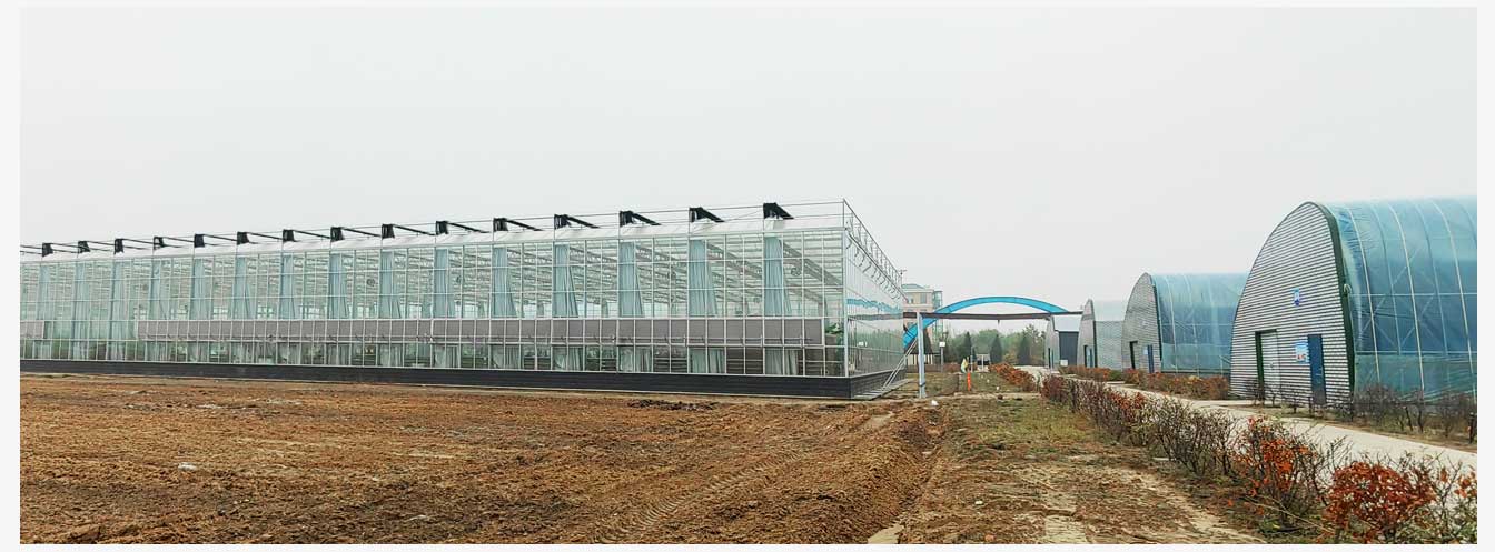 準格爾旗現(xiàn)代智慧設施農(nóng)業(yè)產(chǎn)業(yè)園(網(wǎng)頁)_29.jpg 準格爾旗現(xiàn)代智慧設施農(nóng)業(yè)產(chǎn)業(yè)園(網(wǎng)頁)_29.jpg