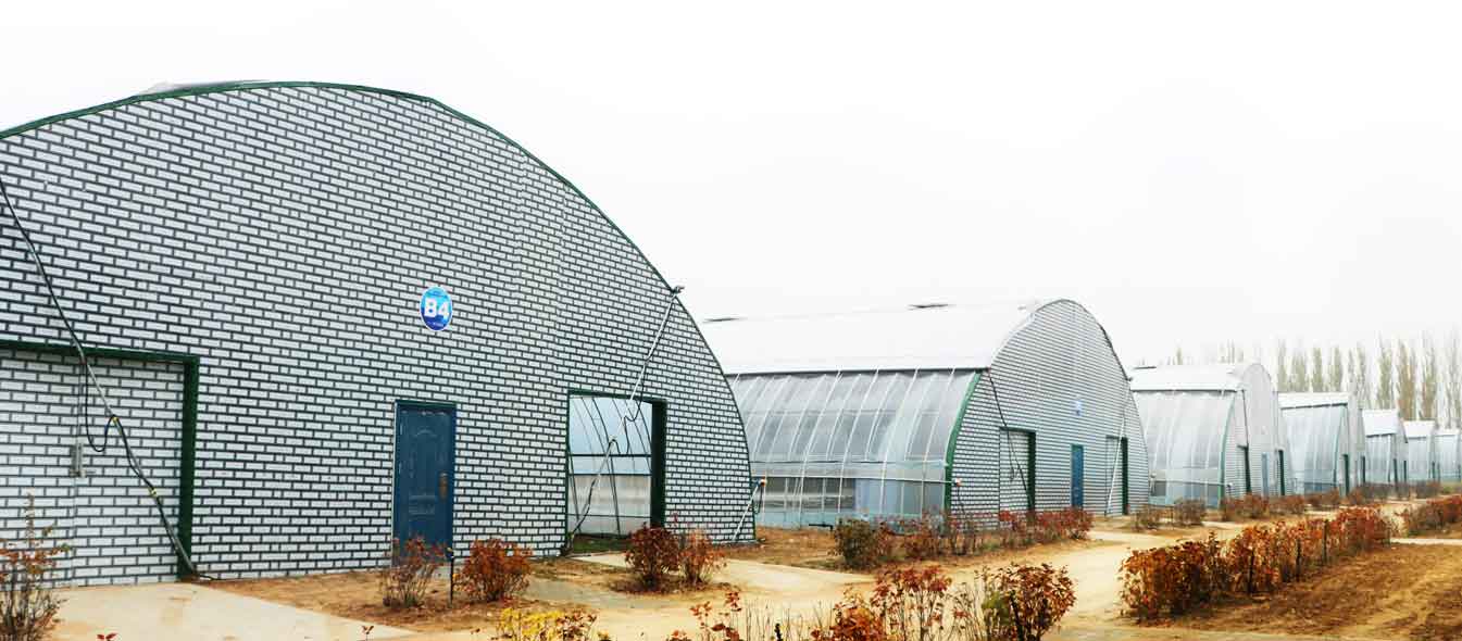 2、四季溫室網頁_11.jpg 2、四季溫室網頁_11.jpg