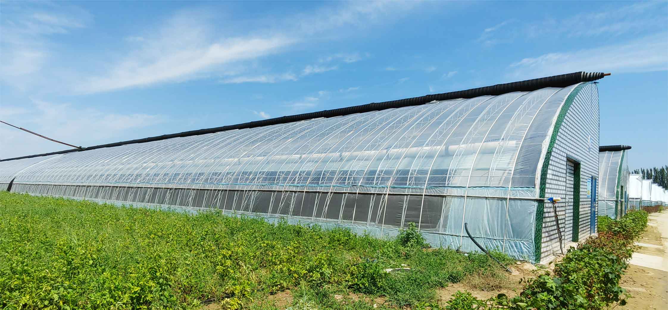 2、冬室夏棚網(wǎng)頁_09.jpg 2、冬室夏棚網(wǎng)頁_09.jpg