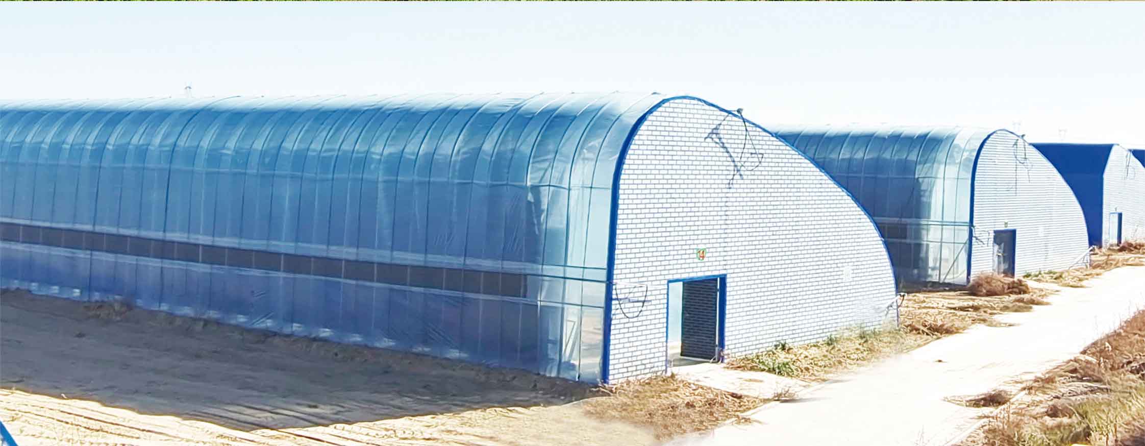 2、冬室夏棚網(wǎng)頁_10.jpg 2、冬室夏棚網(wǎng)頁_10.jpg